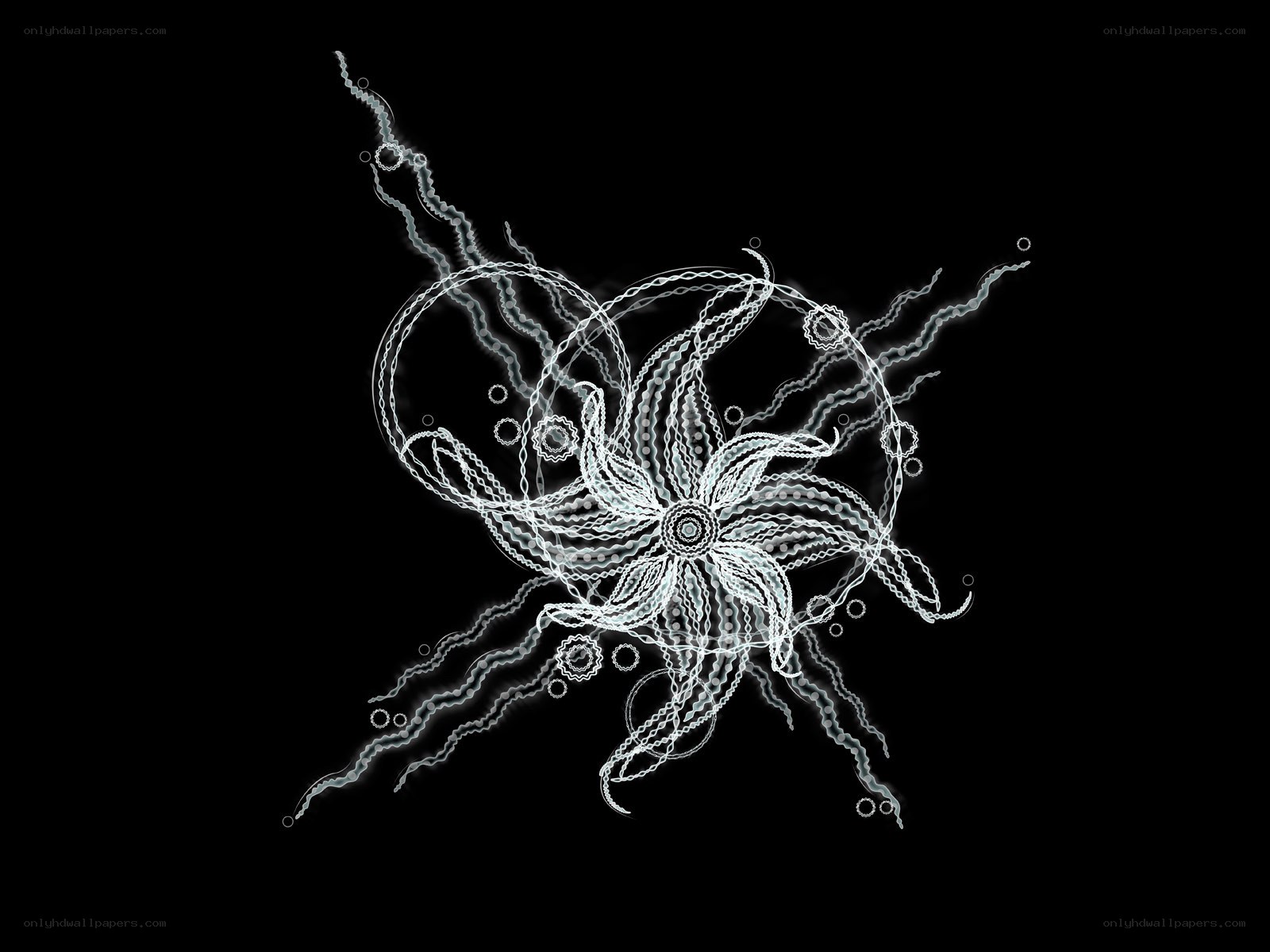 Abstract white line art on black