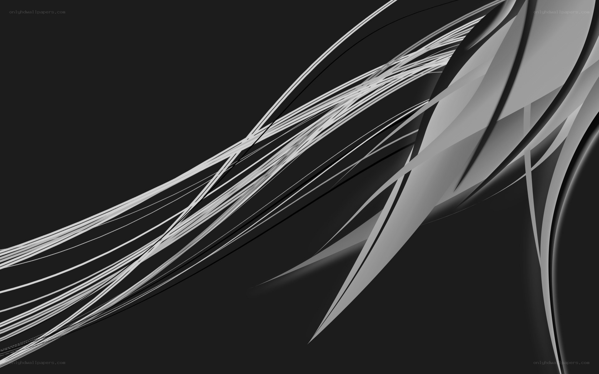 Abstract white lines on black
