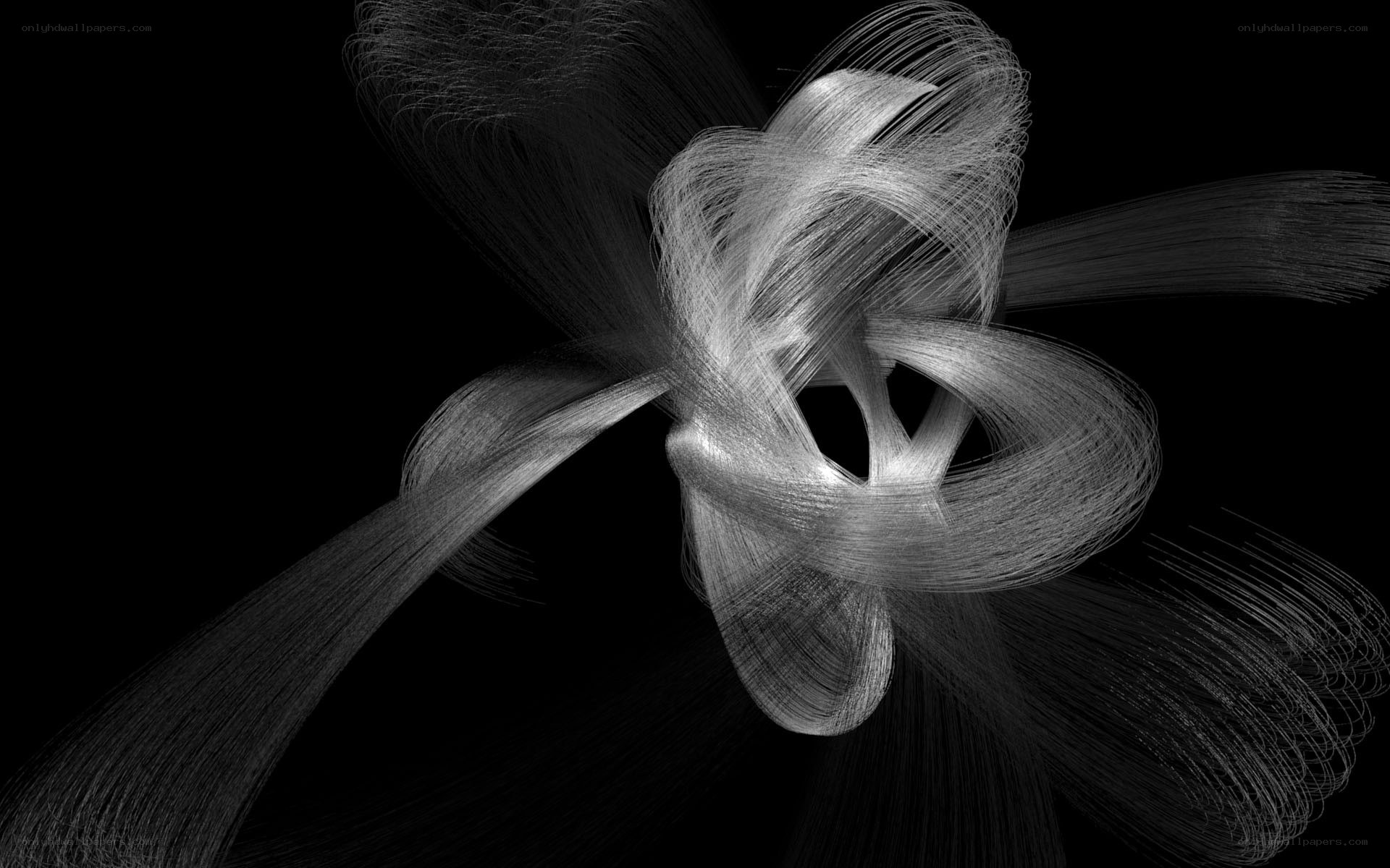 Abstract white lines on black
