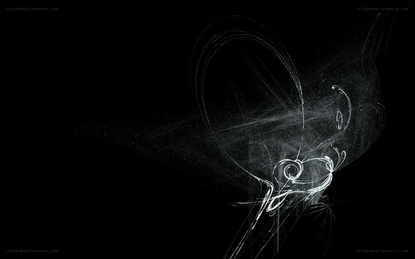 Abstract white lines on black