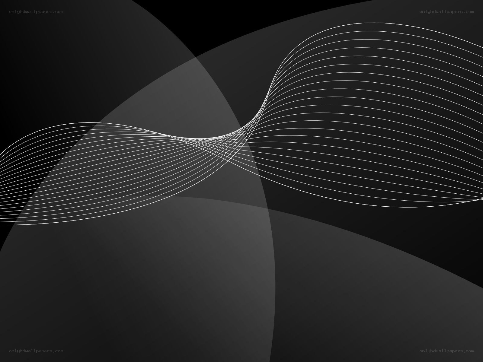 Abstract white lines on dark background
