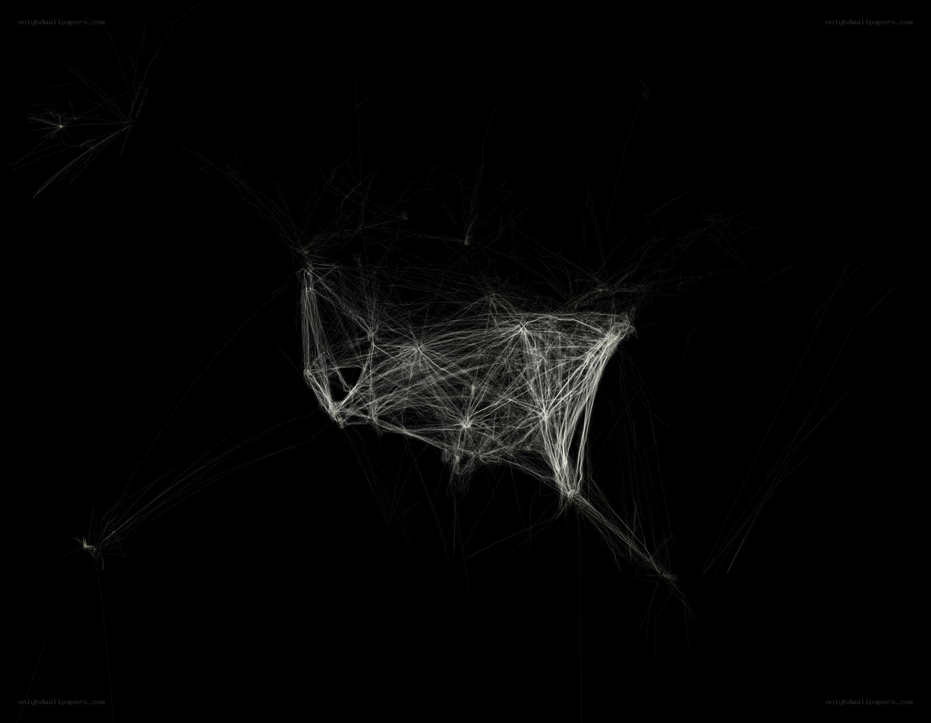 abstract white network on black