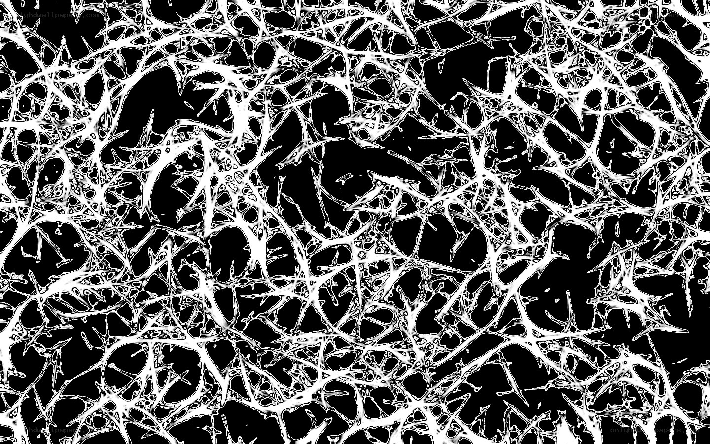 abstract white network pattern