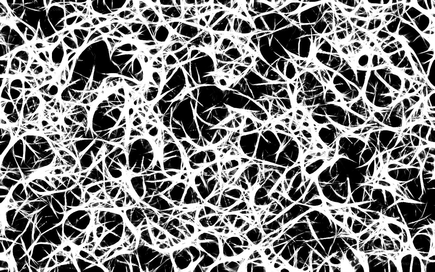 abstract white network pattern