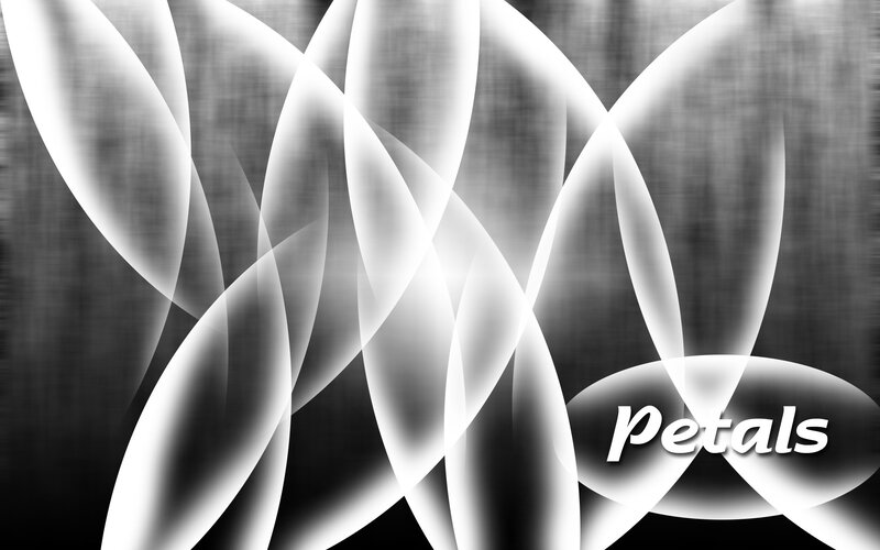 abstract white petals design