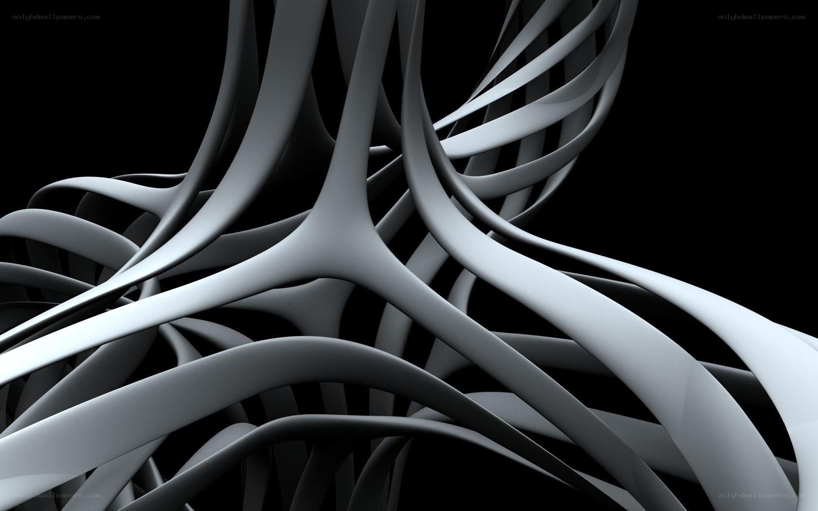 abstract white ribbons on black