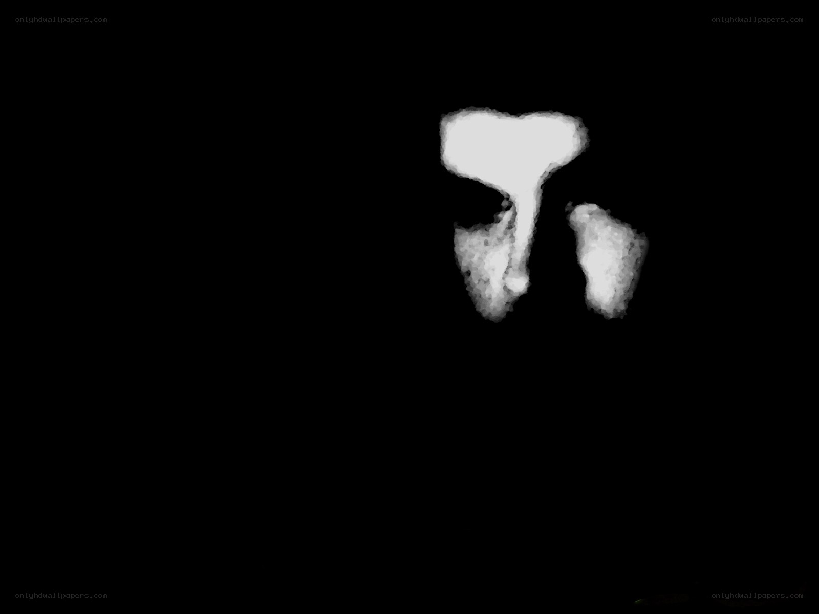 abstract white shapes on black
