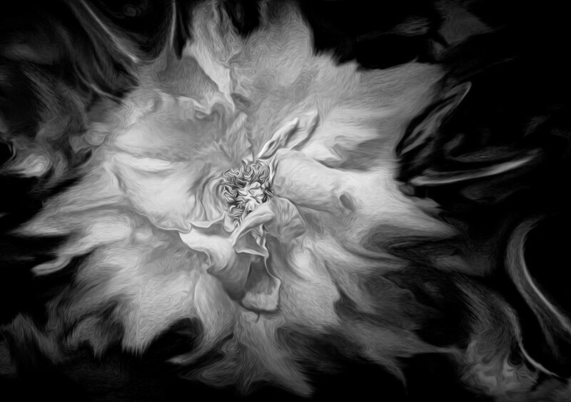 Abstract White Swirl — Black