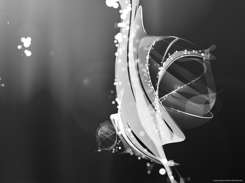 Abstract White Swirls — Black, Dynamic
