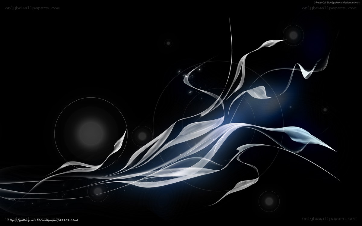 Abstract white swirls on black