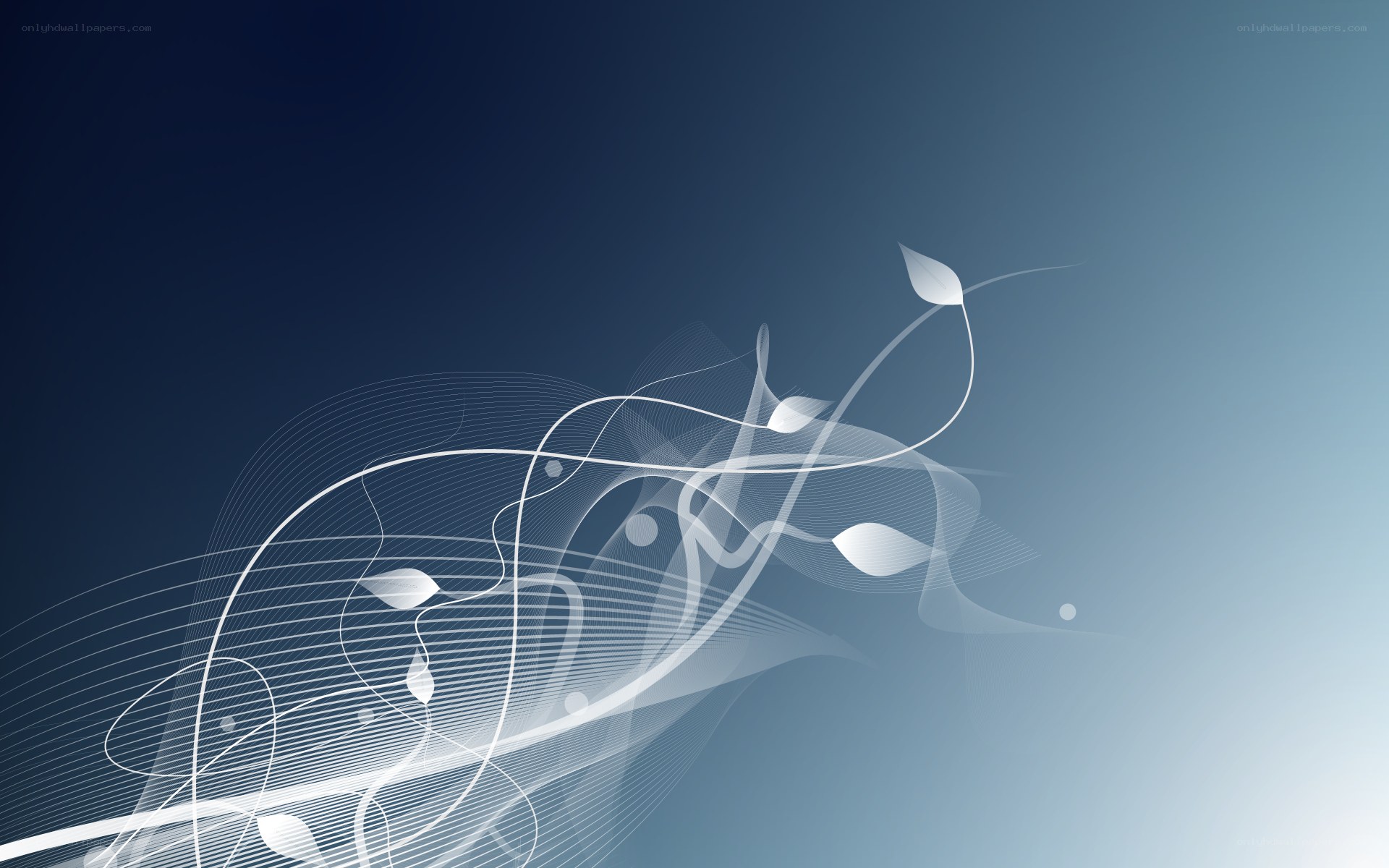 Abstract white swirls on blue