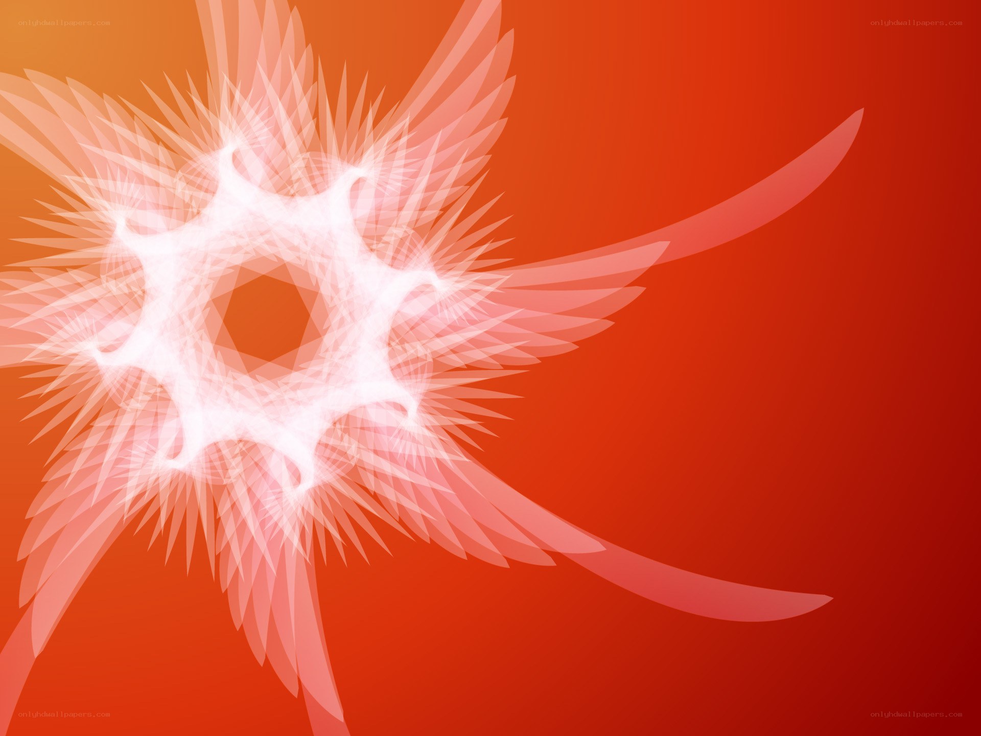 abstract white wings on red