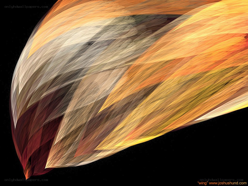 Abstract wing design