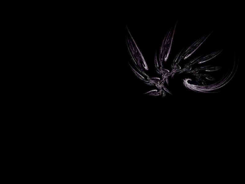 Abstract Winged Design — Black