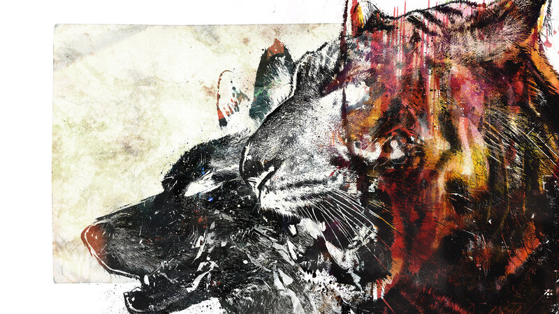 abstract wolf and tiger art