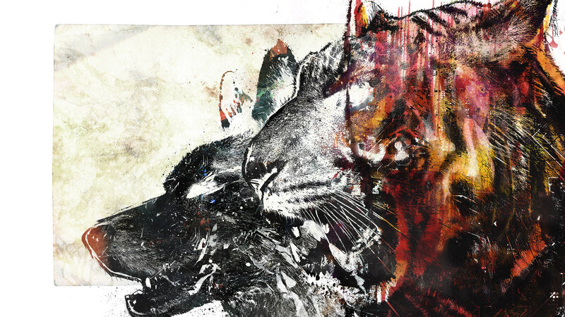 abstract wolf and tiger artwork