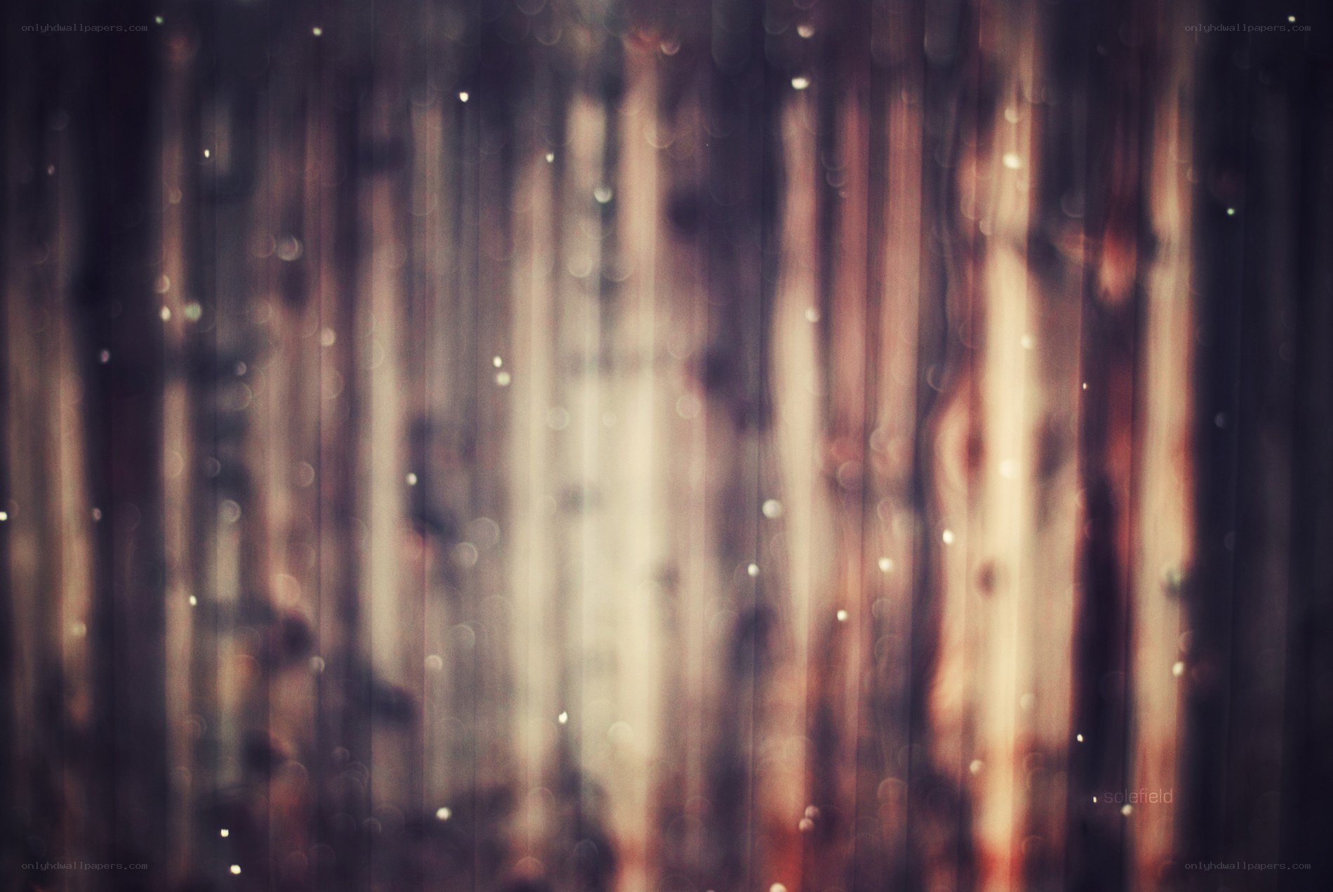 abstract wooden texture with bokeh