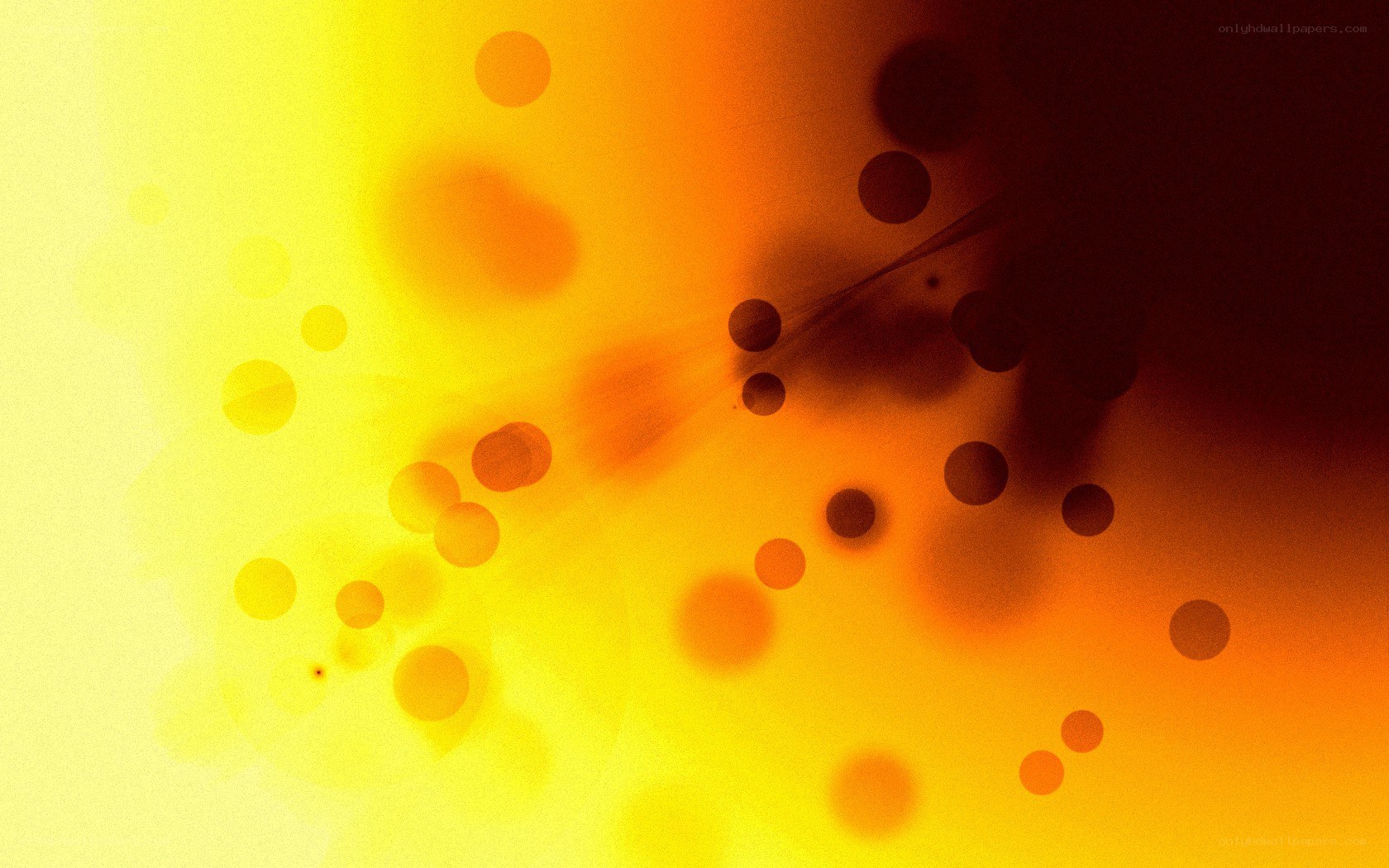 abstract yellow and orange circles
