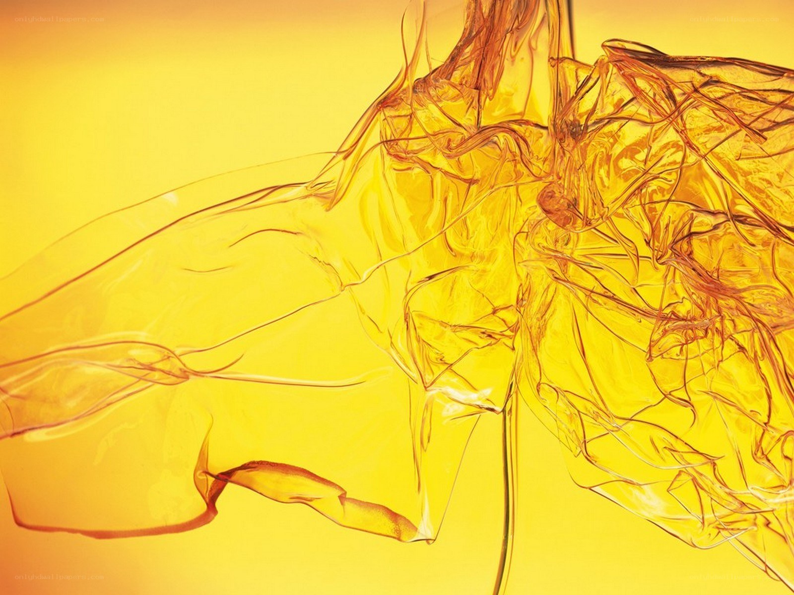Abstract yellow fluid forms