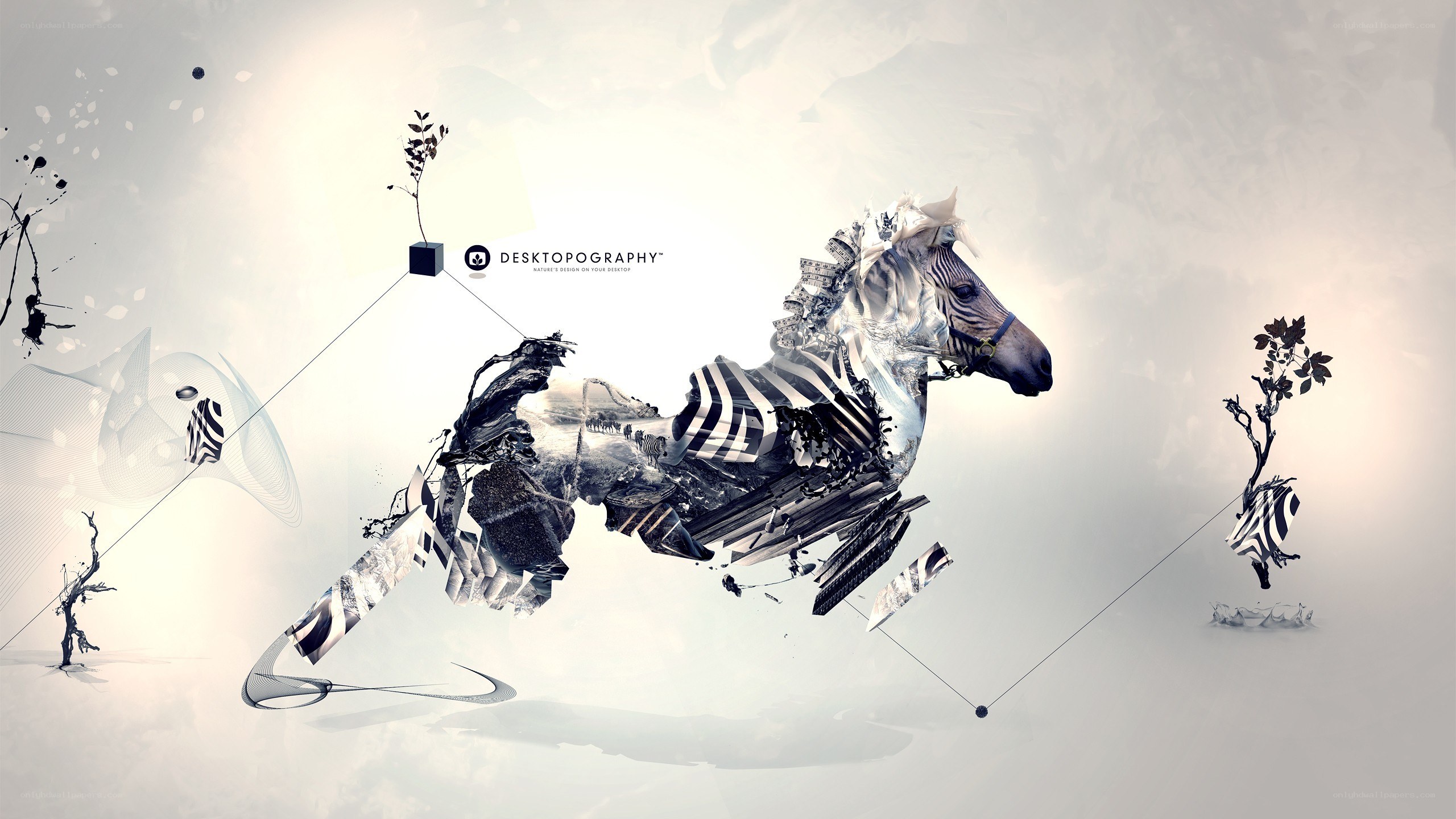 abstract zebra collage art