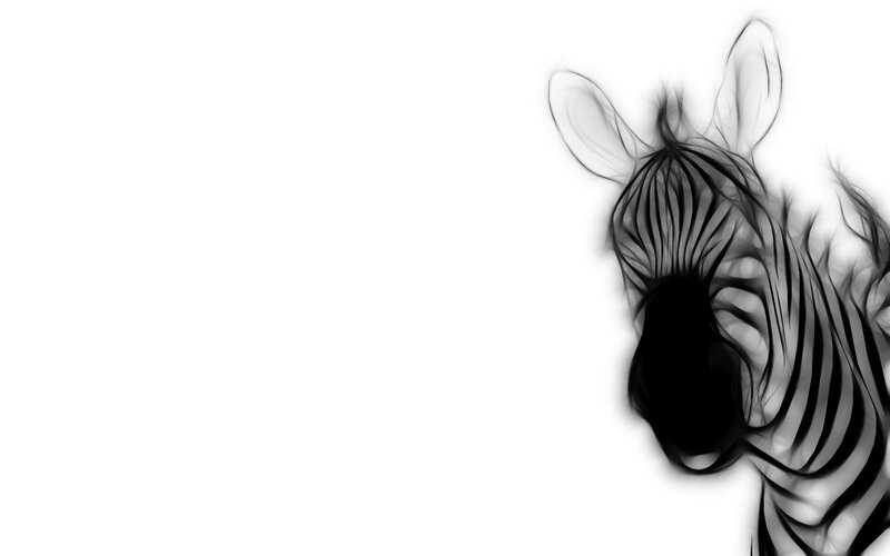 abstract zebra head art