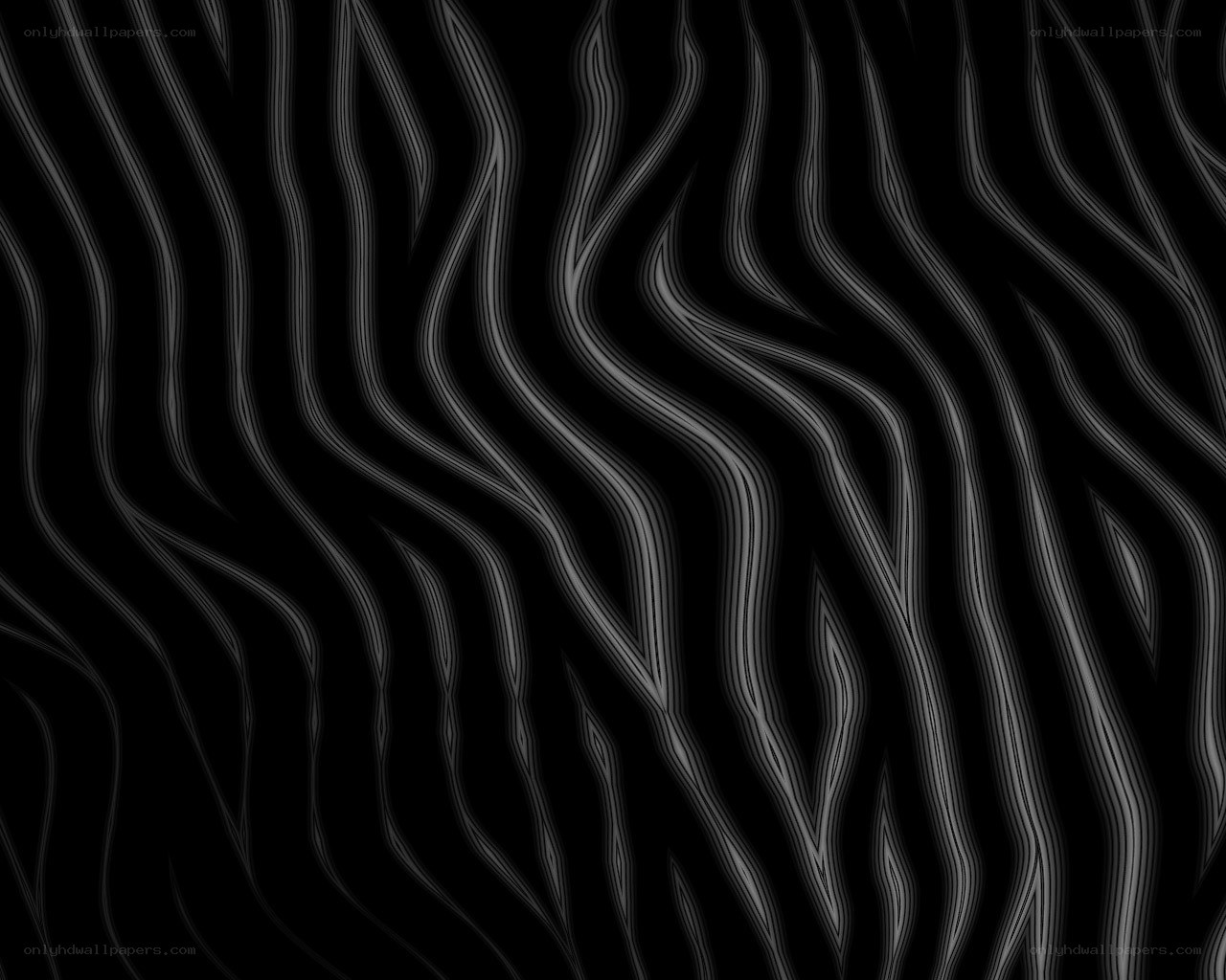 abstract zebra stripe pattern