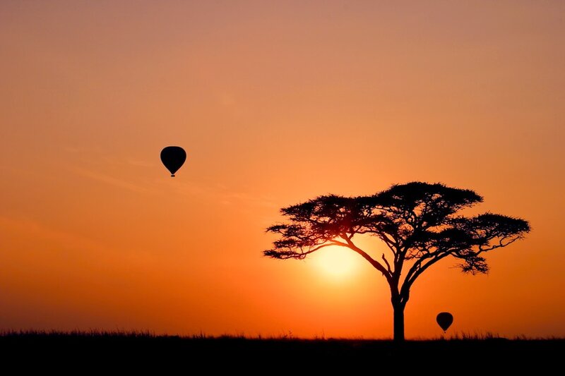 Acacia Tree at Sunset — Orange, Serene, Photograph