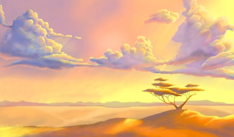 Acacia Tree on Hill
