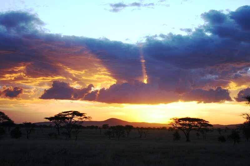 Acacia Trees at Sunset — Orange, Dramatic, Photograph, Clouds