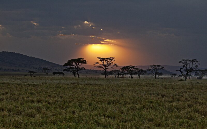 Acacia Trees at Sunset — Orange, Dramatic, Photograph, Hills