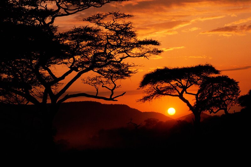 Acacia Trees at Sunset — Orange, Dramatic, Photograph, Sun, Mountains, Sky