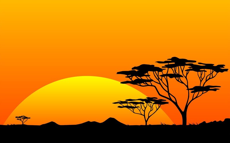 Acacia Trees at Sunset — Orange, Serene, Vector Art, Sun