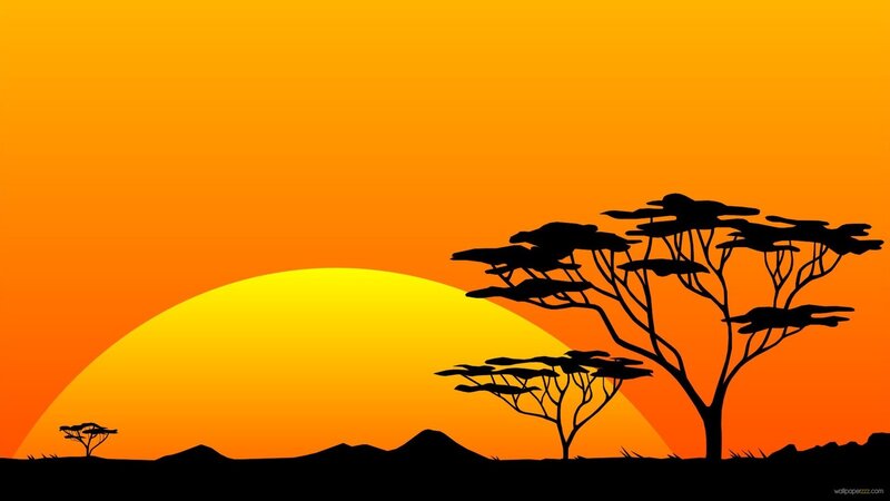 Acacia Trees at Sunset — Orange, Serene, Vector Art