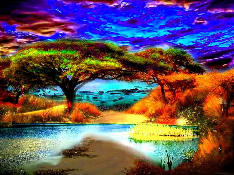 Acacia Trees by Lake