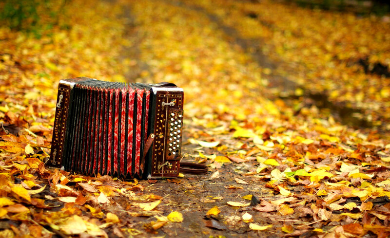 Accordion on Autumn Leaves — Yellow