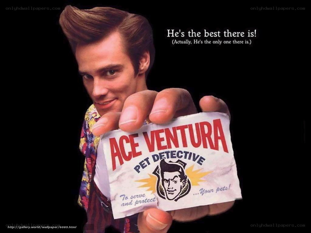 Ace Ventura holding business card
