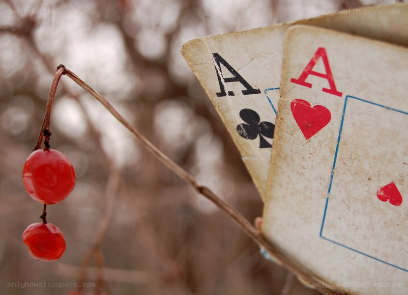 Aces and berries on a branch