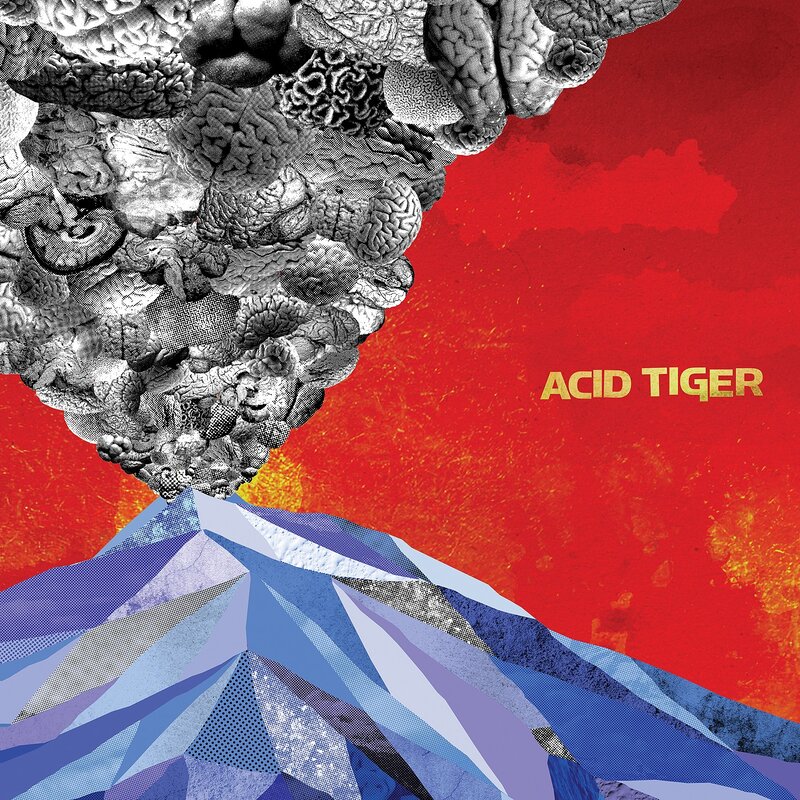 Acid Tiger album cover