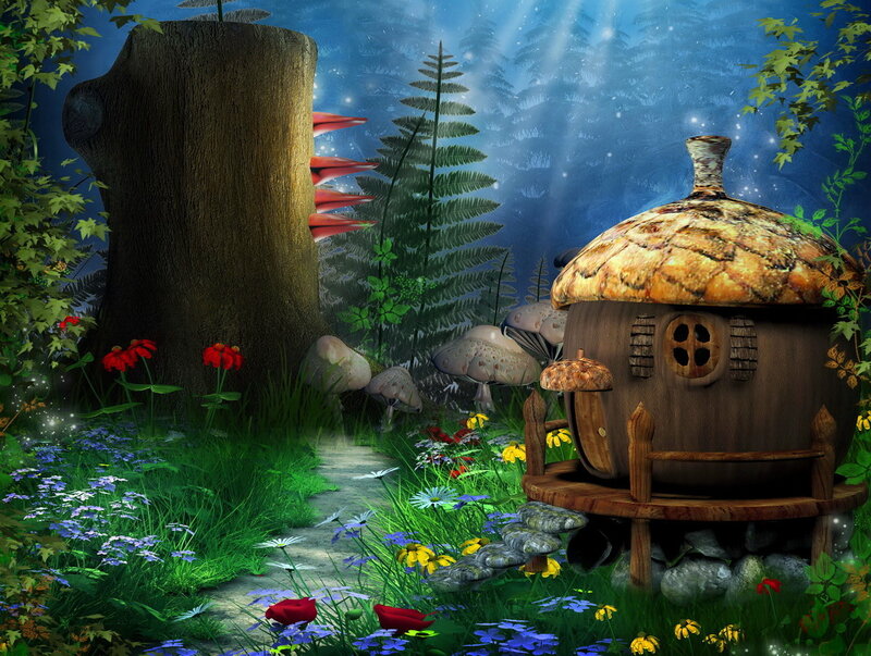 Acorn House in Forest