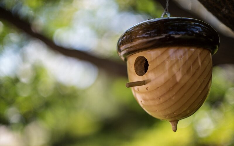 acorn-shaped birdhouse hanging