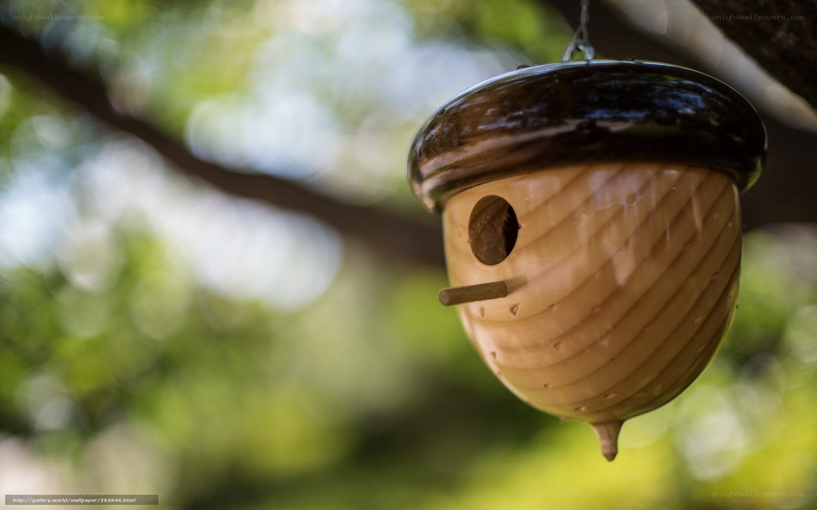 Acorn-shaped birdhouse hanging