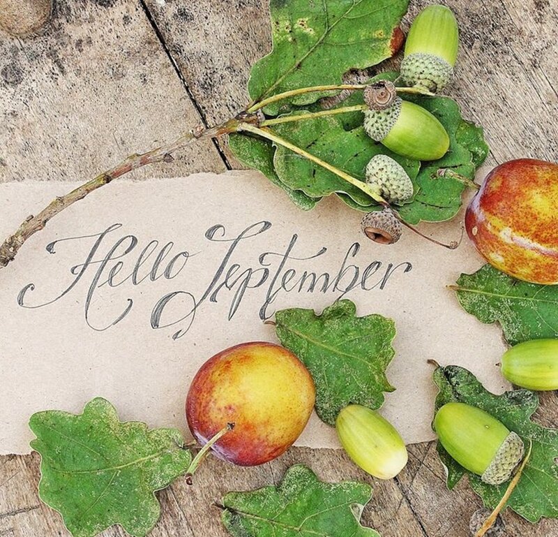 Acorns and Apples on Paper