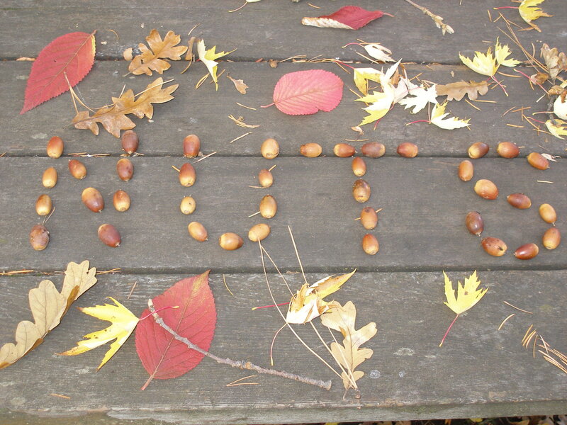 Acorns and Leaves on Wood