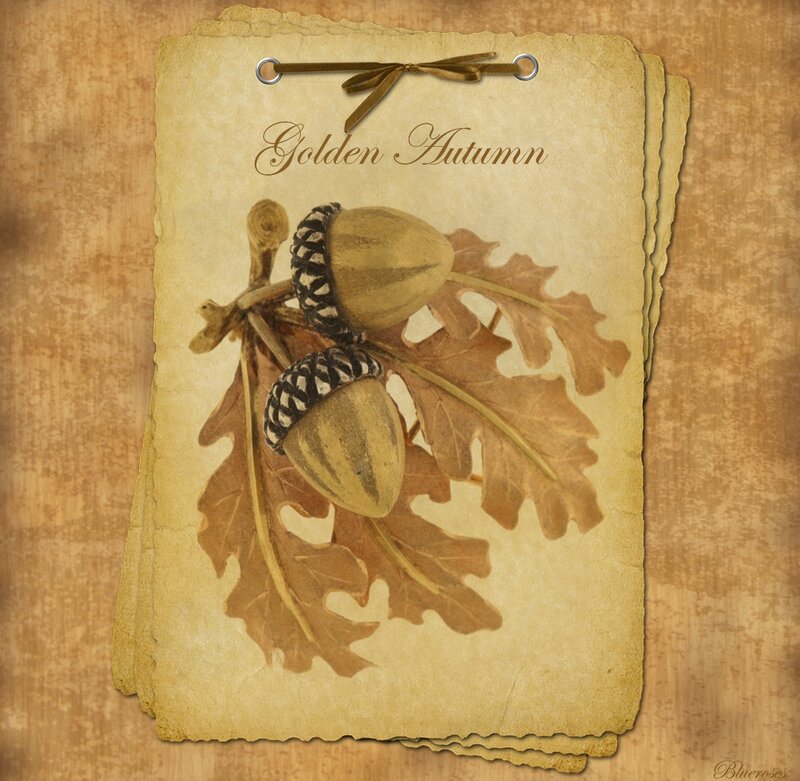 Acorns and Oak Leaves
