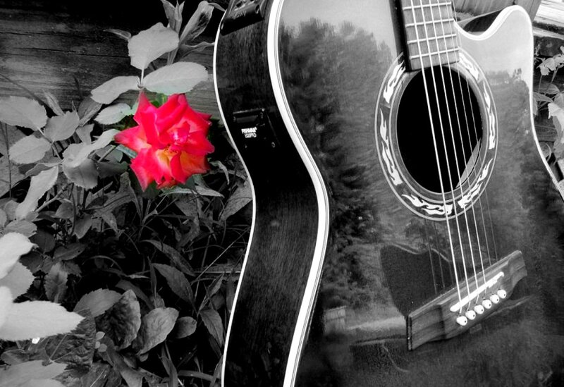 Acoustic Guitar and Rose