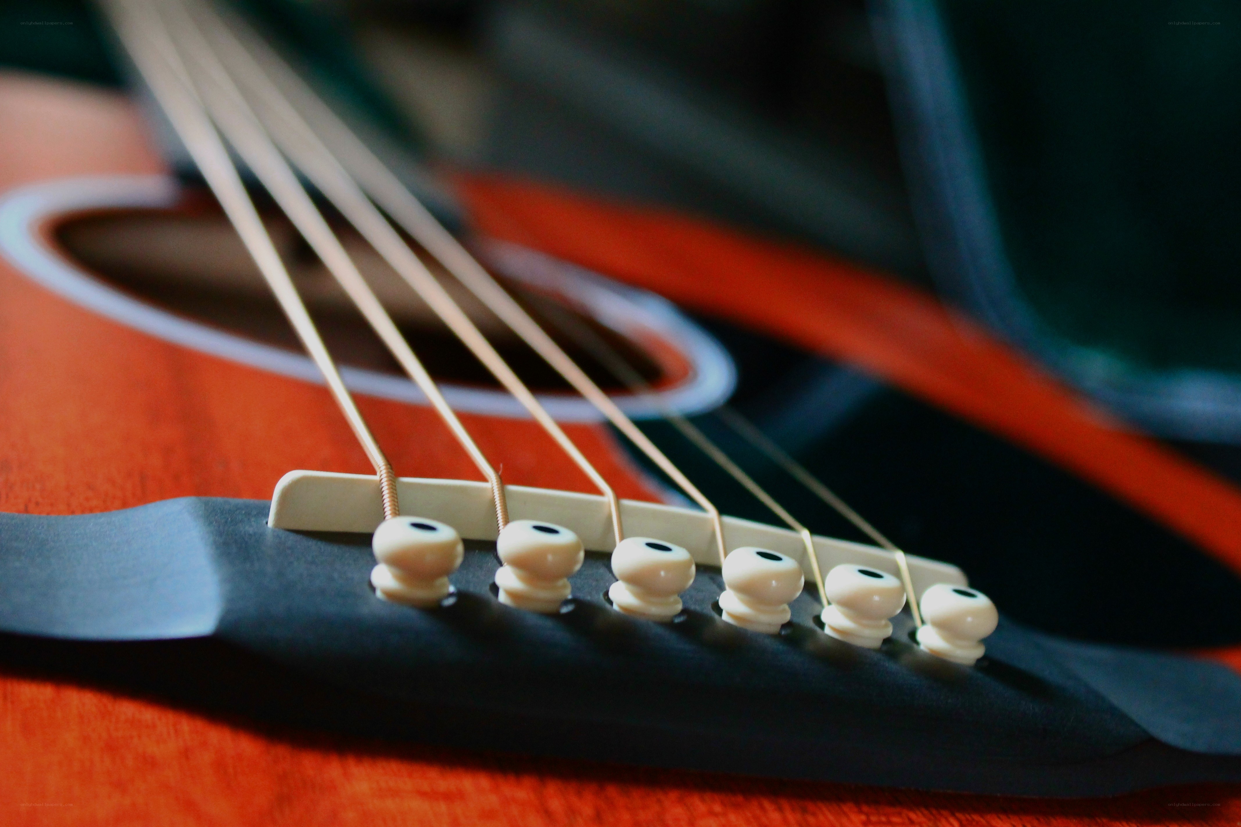 Acoustic guitar bridge close-up