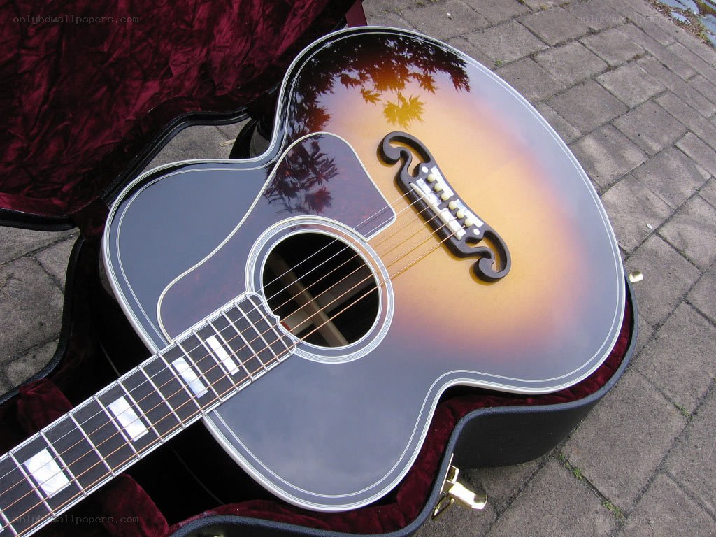 acoustic guitar in case