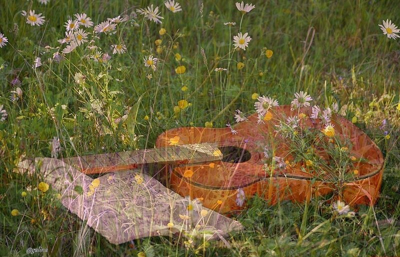 Acoustic Guitar in Field — Green