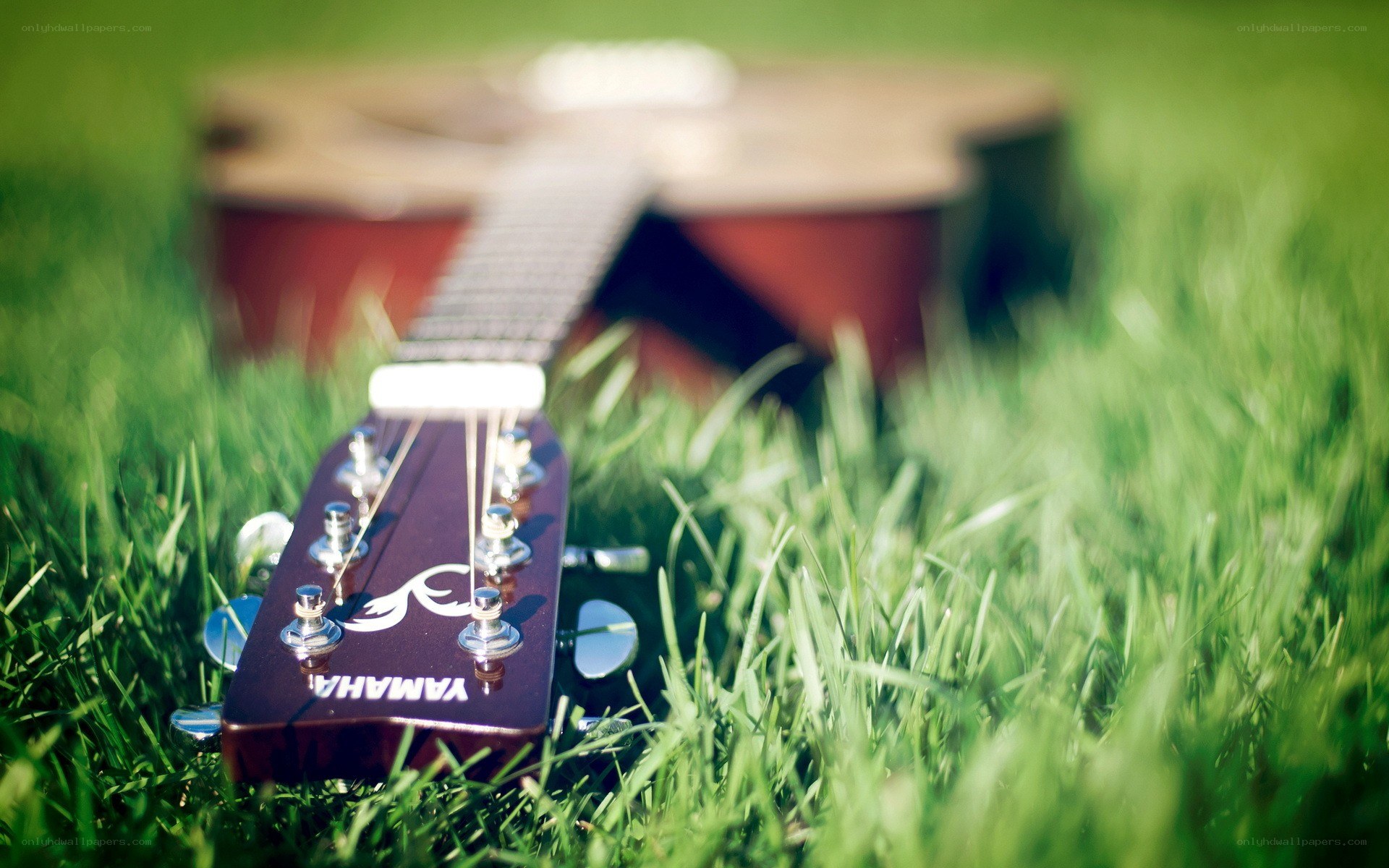 Acoustic guitar in grass