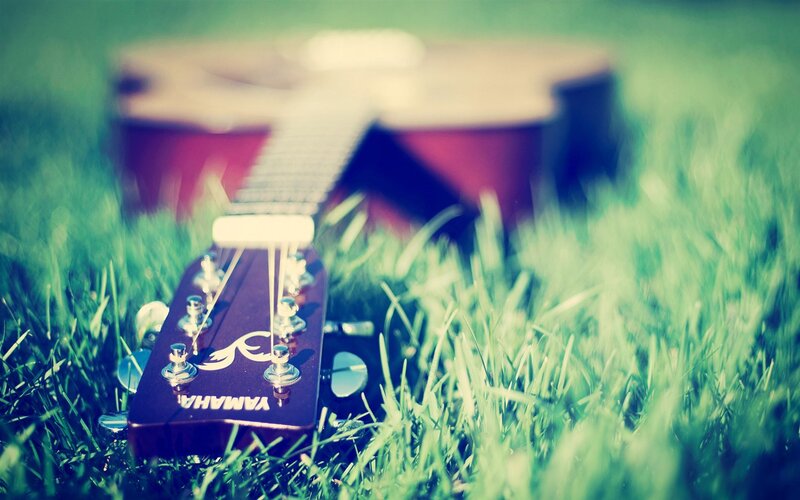 Acoustic Guitar in Grass — Green